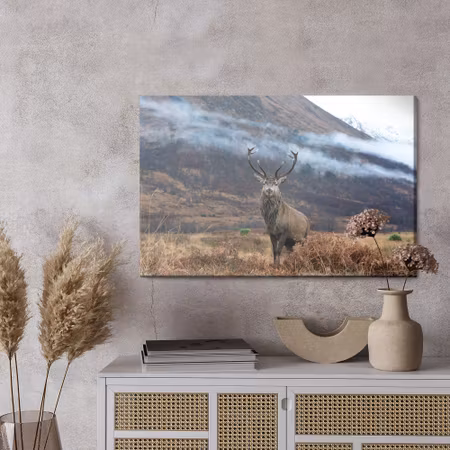 Canvastavla - The majestic deer against the backdrop