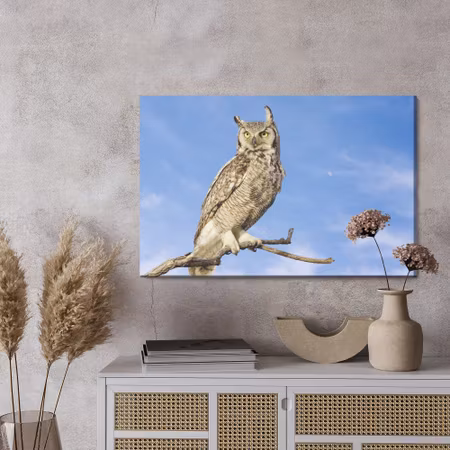 Canvastavla - Bird of prey against the sky