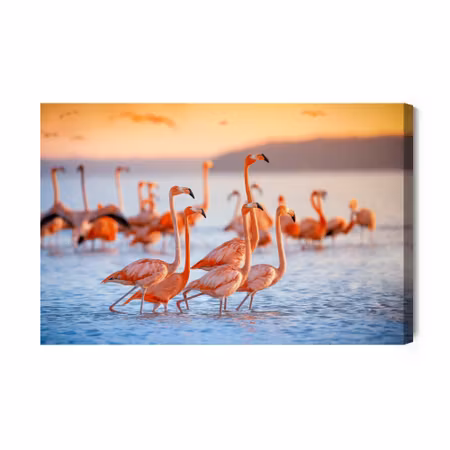 Canvastavla - Flamingos birds