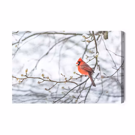 Canvastavla - Red bird