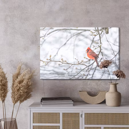 Canvastavla - Red bird