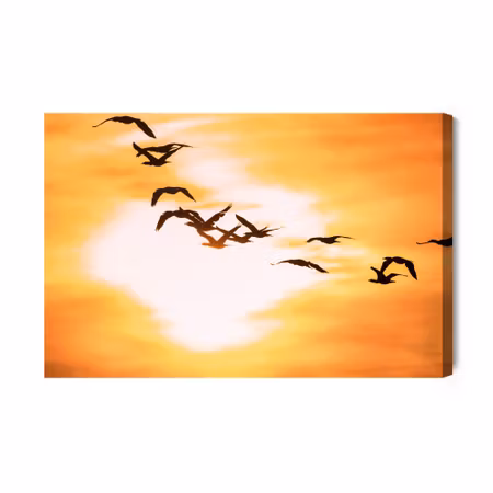 Canvastavla - Cormorants birds