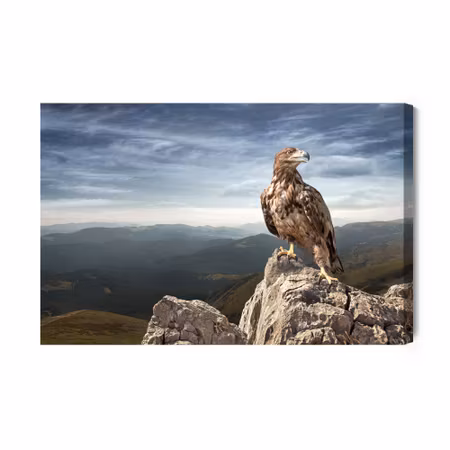 Canvastavla - Eagle on top of the mountain