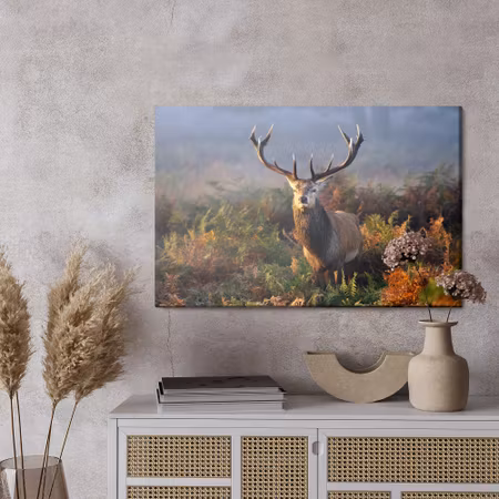 Canvastavla - An impressive deer among the forest