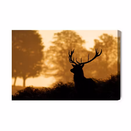 Canvastavla - Deer in the forest