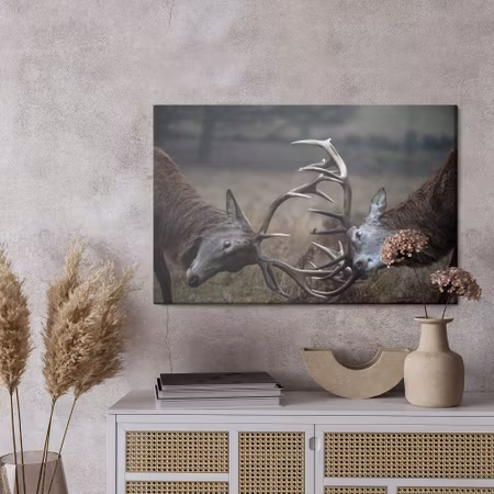 Canvastavla - Fighting deer