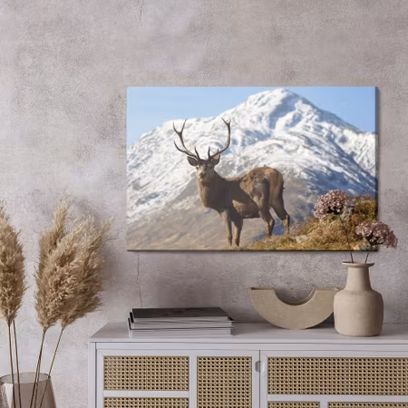 Canvastavla - A deer with a mountain peak in the