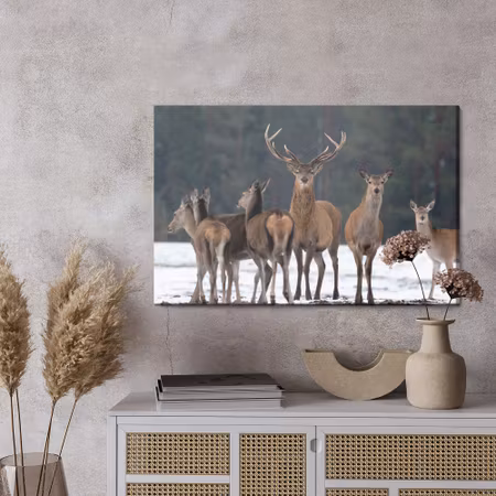 Canvastavla - A deer and a doe