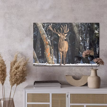 Canvastavla - A deer among the trees