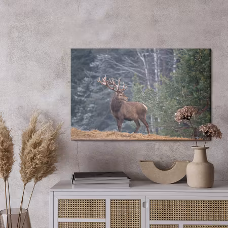 Canvastavla - A stately deer in the forest