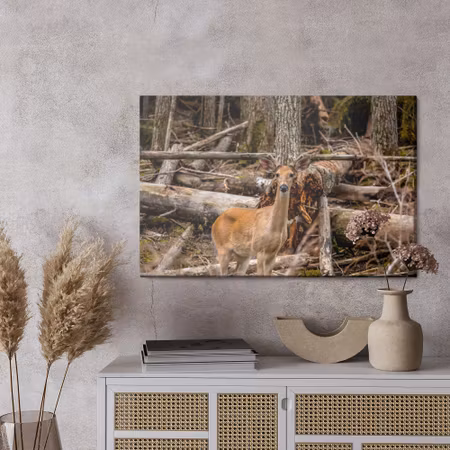 Canvastavla - A young deer among the trees