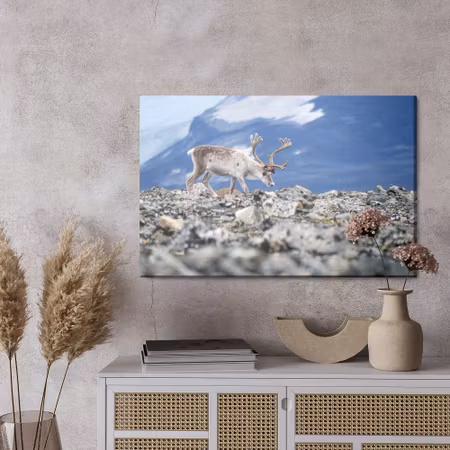 Canvastavla - Reindeer on the background of mountains