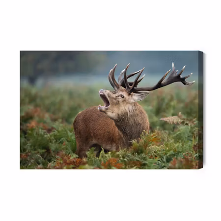 Canvastavla - Adult deer in the rut