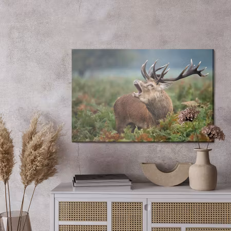 Canvastavla - Adult deer in the rut