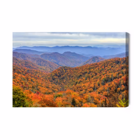 Canvastavla - Autumn forest in the mountains