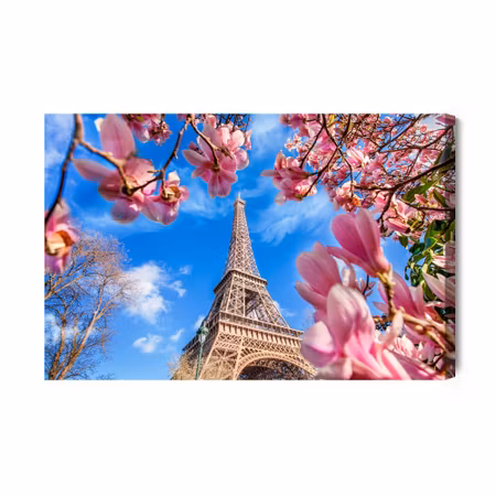 Canvastavla - Eiffel tower between magnolias