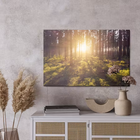 Canvastavla - The sun&#039;s rays in the forest