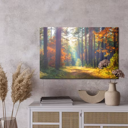 Canvastavla - Autumn forest in the morning sun