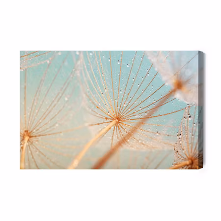 Canvastavla - Inflatable, water drops