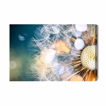 Canvastavla - Close-up of a puffer fish