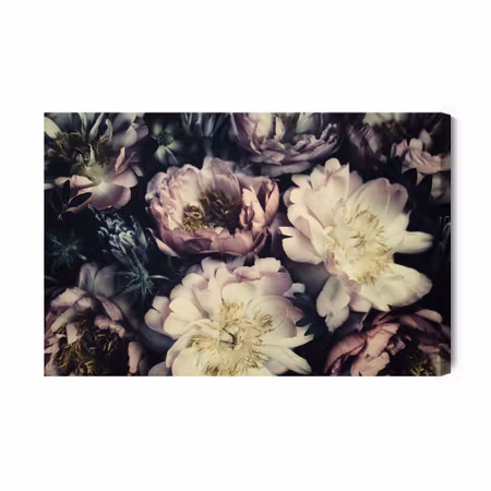 Canvastavla - Peonies in dark colours