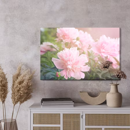 Canvastavla - Peony in the sun