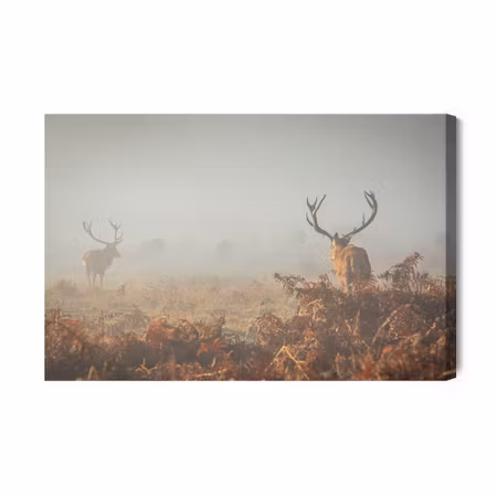 Canvastavla - Deer in the fog