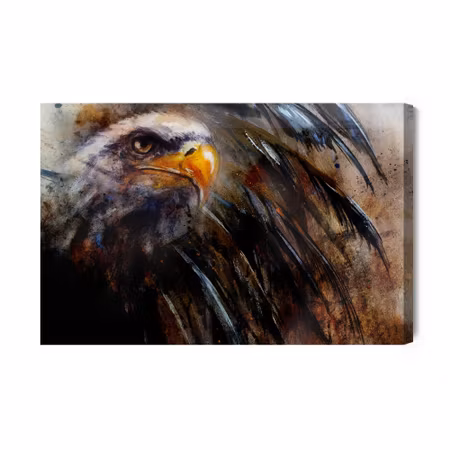 Canvastavla - Eagle as painted