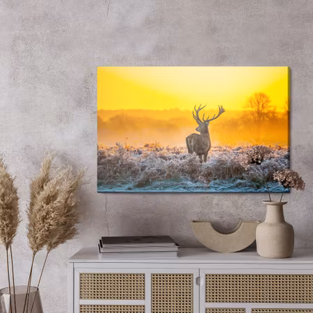 Canvastavla - Deer at dawn