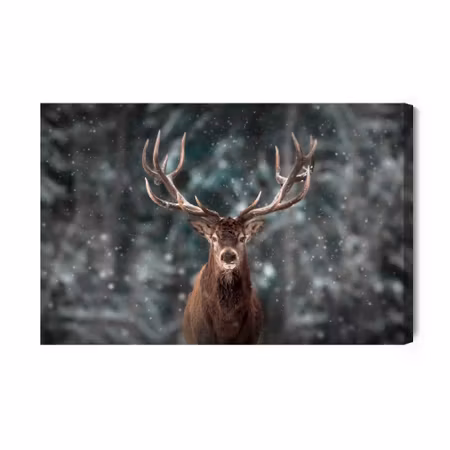 Canvastavla - Deer in the middle of a forest