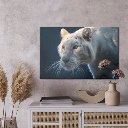 Canvastavla - Beautiful white tiger