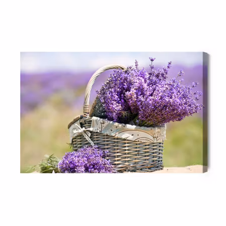 Canvastavla - Basket with lavender flowers