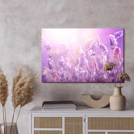 Canvastavla - Lavender flowers in the sun