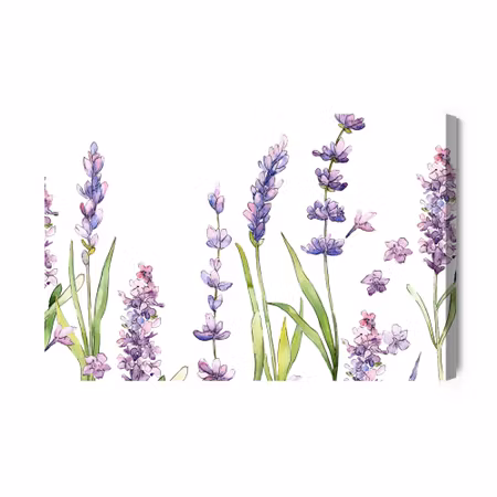 Canvastavla - Watercolor lavender flowers on a white
