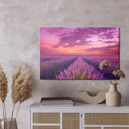 Canvastavla - Lavender blooming field in provence