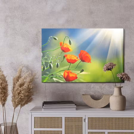 Canvastavla - Poppies in the sunshine