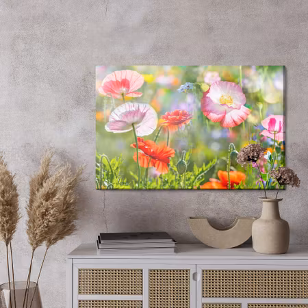 Canvastavla - Poppies on a sunny meadow