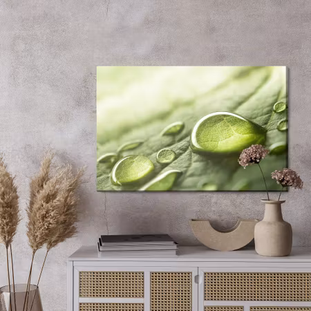 Canvastavla - Water drops on a green leaf