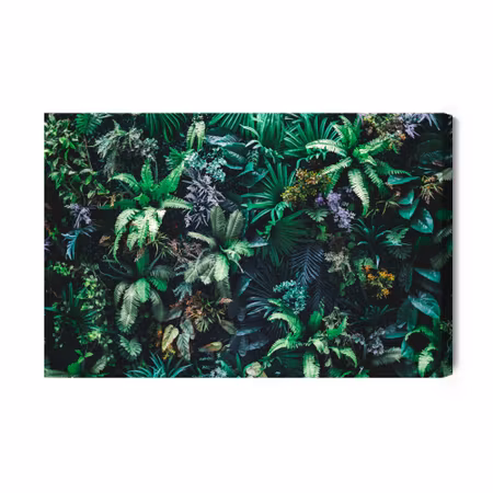 Canvastavla - A garden full of tropical leaves and