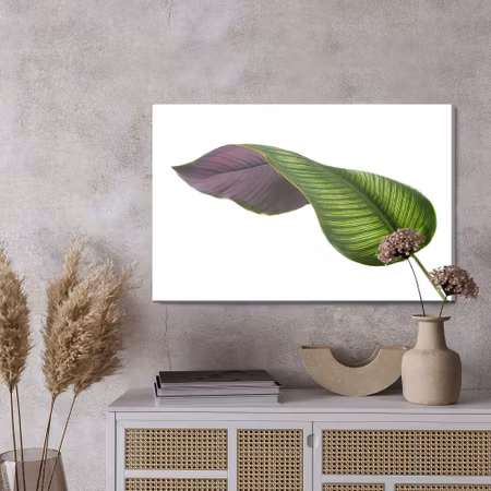 Canvastavla - Calathea leaf