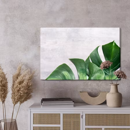 Canvastavla - Monstera leaves on a concrete background