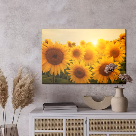 Canvastavla - Sunset over the sunflowers