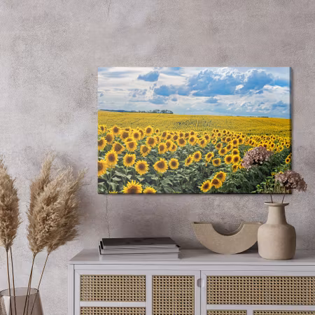 Canvastavla - Summer landscape with sunflowers