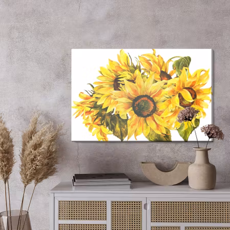 Canvastavla - Sunflowers as painted on a white