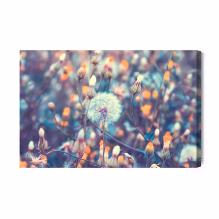 Canvastavla - Dandelions in the meadow