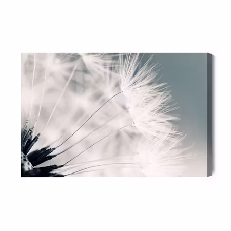 Canvastavla - Dandelion seeds