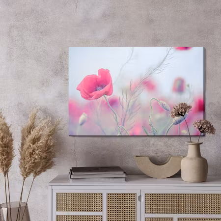 Canvastavla - Delicate poppies
