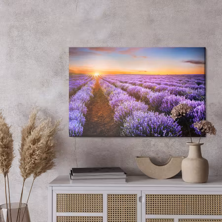 Canvastavla - Lavender at sunset