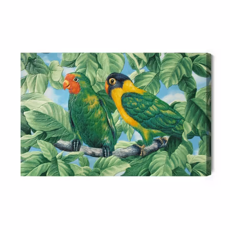Canvastavla - Beautiful colorful parrots
