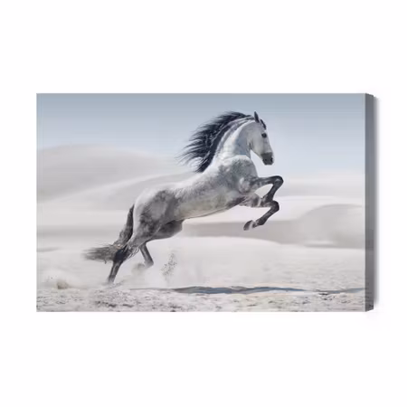 Canvastavla - Horse in the desert